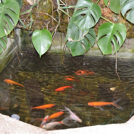 Marina Vila House マズノウ エクステリア 写真