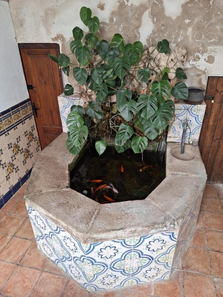 Marina Vila House マズノウ エクステリア 写真